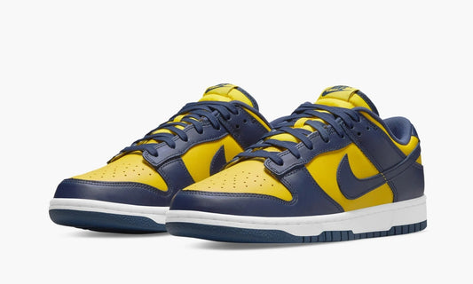 Dunk Low Michigan - DD1391 700 | The Sortage