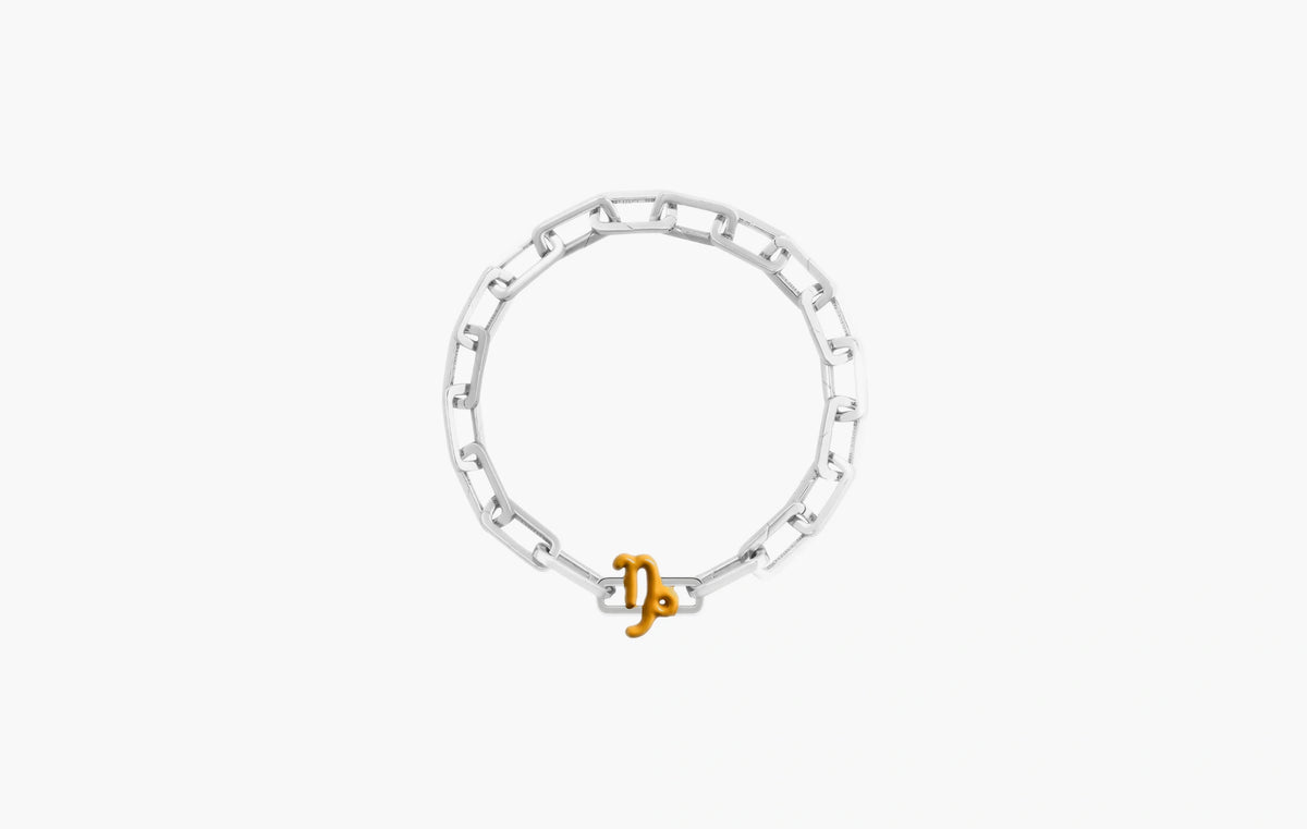Capricorn Charm "Silver"