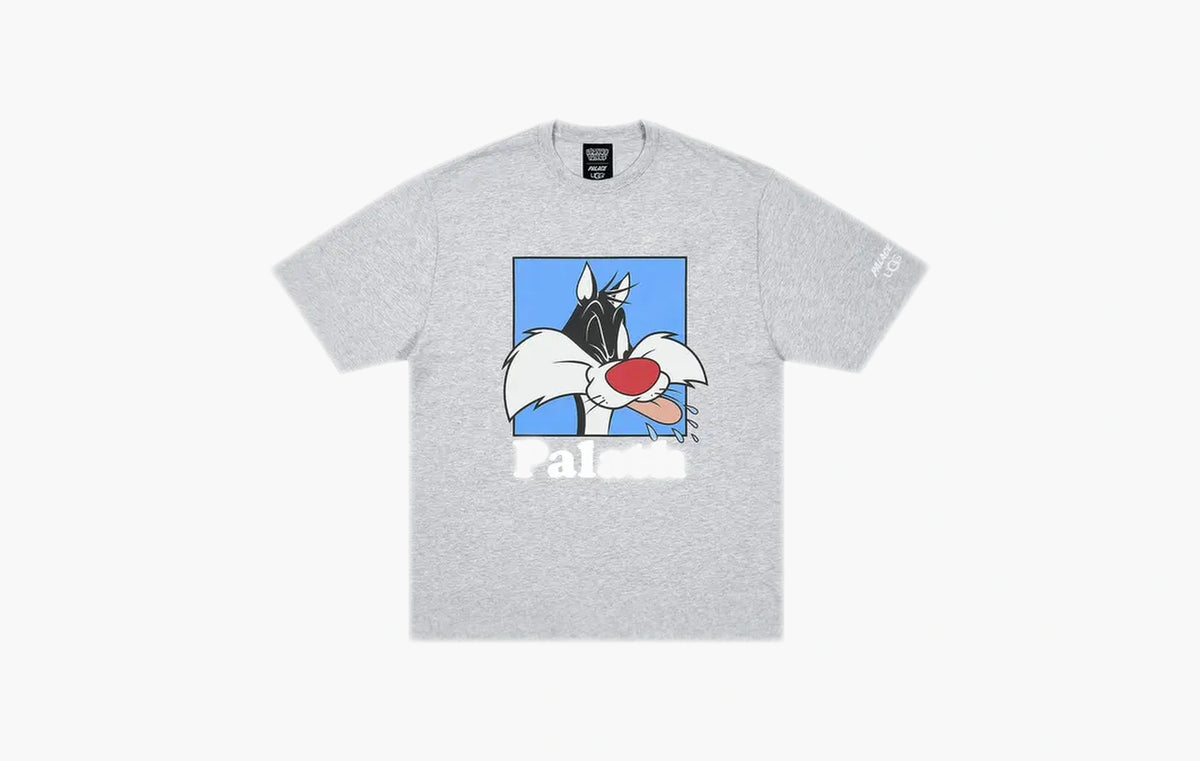 UGG Looney Tunes T-Shirt "Grey Marl"