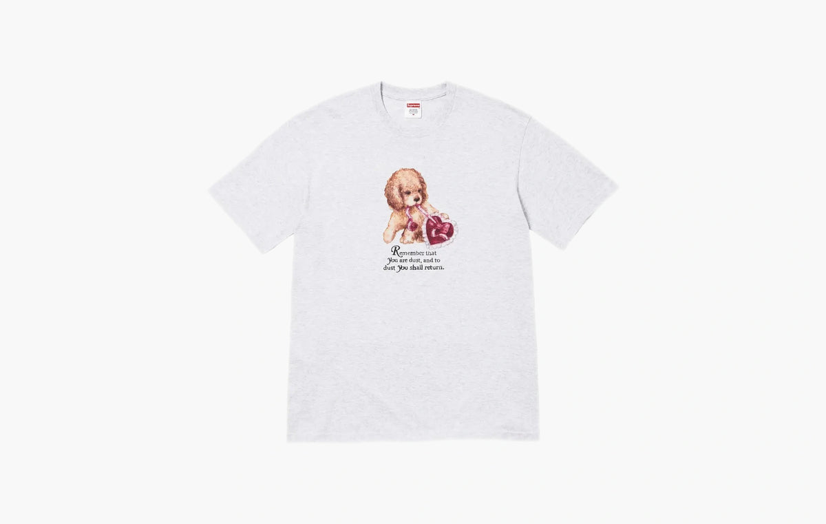 Dust Tee "Ash Grey"