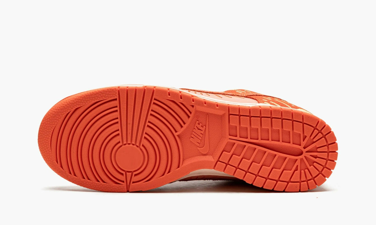 Dunk Low NH Winter Solstice - DO6723 800 | The Sortage