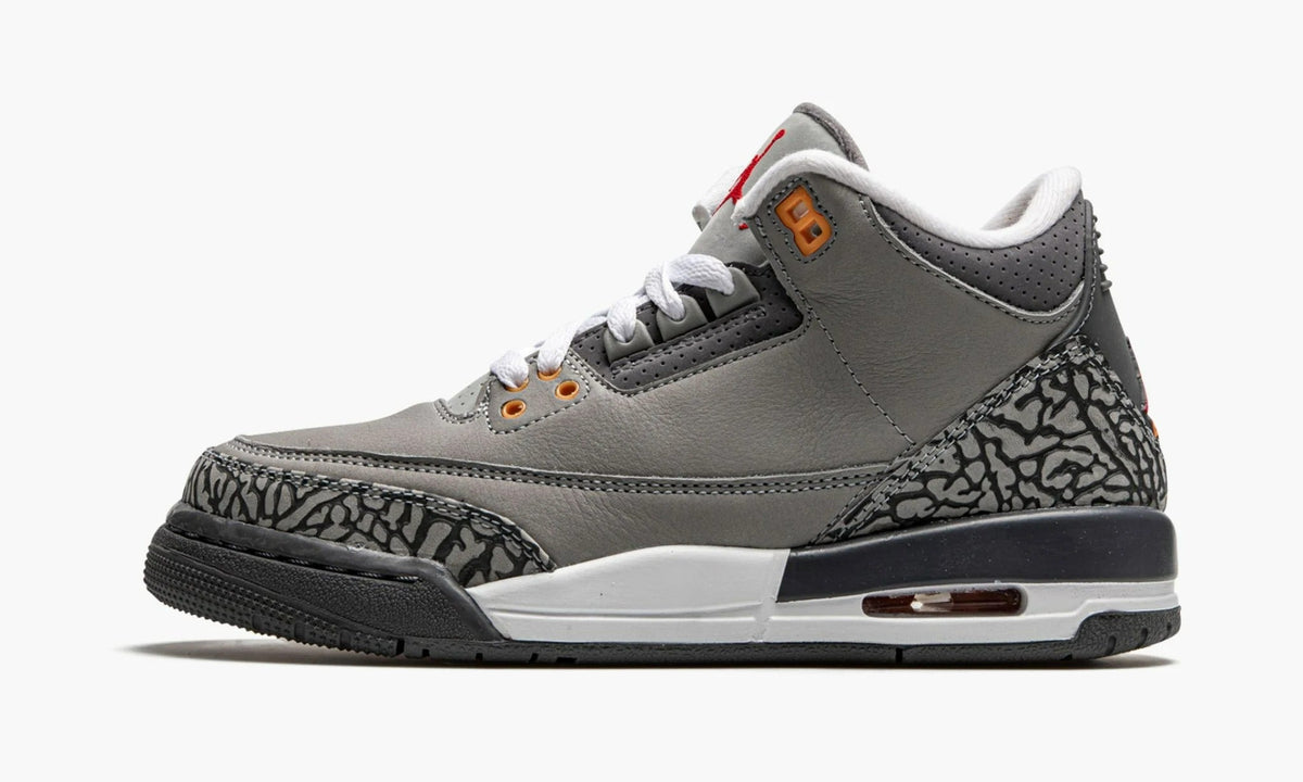 Air Jordan 3 Retro GS Cool Grey - 398614 012 | The Sortage