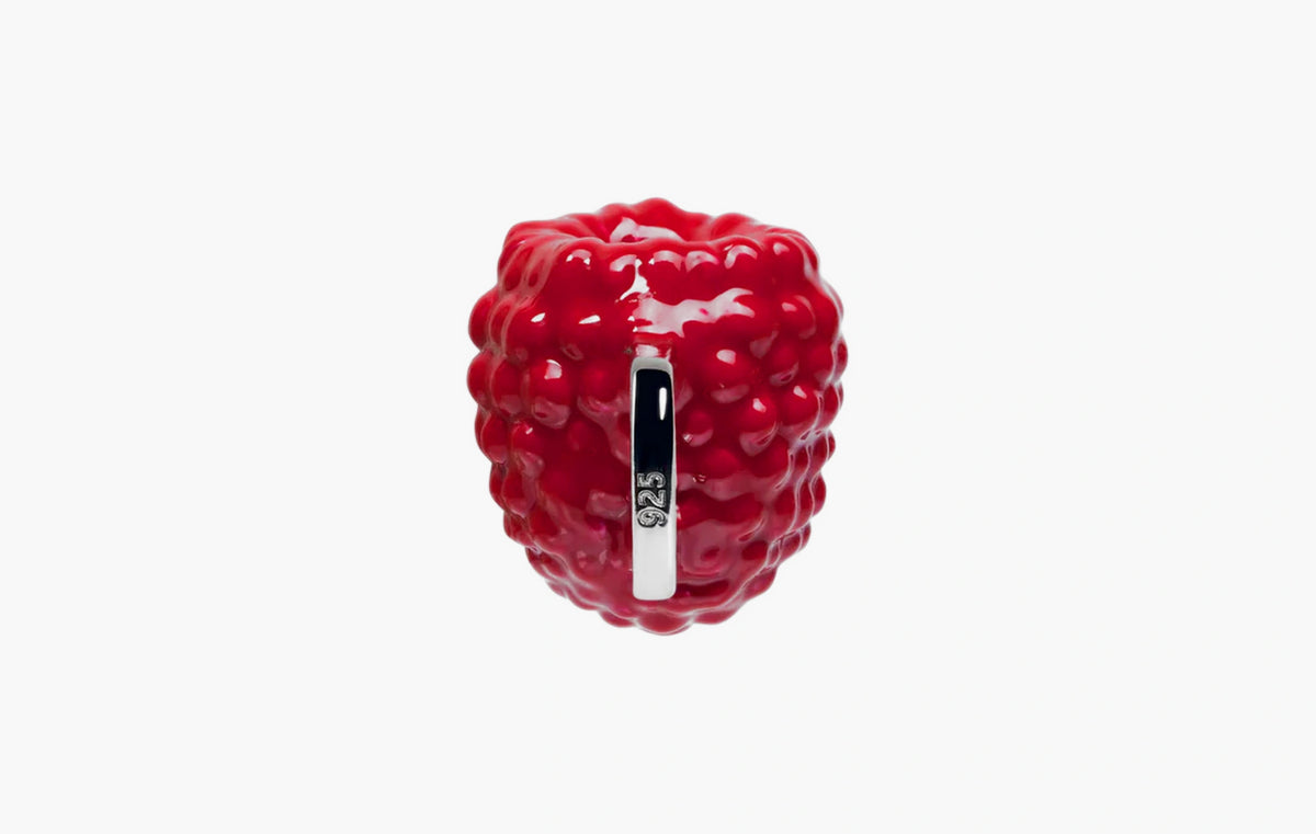 Raspberry Charm "Silver"