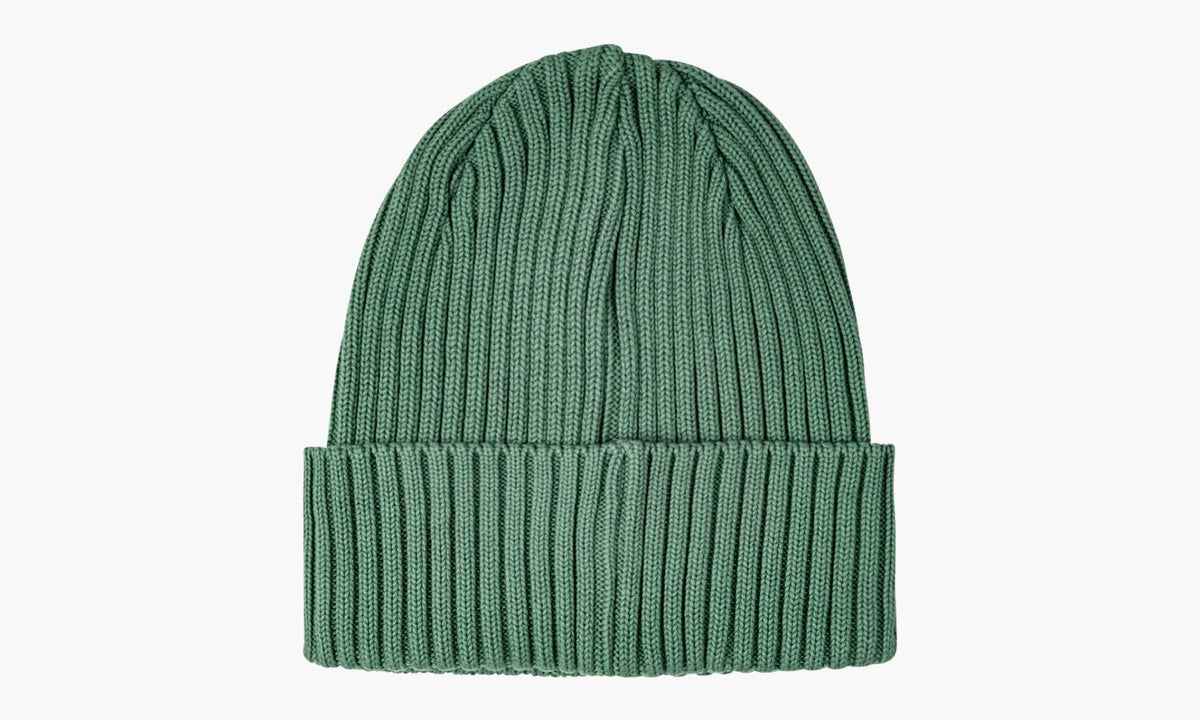 Supreme Overdyed Beanie SS22 Green | The Sortage