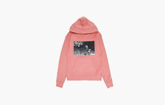 Flying High Hooded Sweatshirt "Rust Pink"
